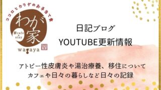 YouTube更新情報